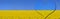 Field of colza rapeseed blooming with heart yellow and blue colors of ukrainian flag