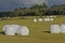 Field with combined grass hays  wrapped in plastic and surrounded by trees