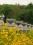 Field of Coreopsideae plants under sunlight with blurred background in Qinglonghu Park,China