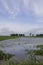 Field of corn flooded.