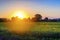 Field with cornfield against the sunset sky