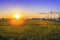 Field with cornfield against the sunset sky