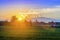 Field with cornfield against the sunset sky