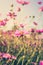 Field cosmos flower and sky sunlight with Vintage filter.