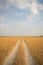 Field countryside sand road with grass daylight