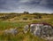 Field covered in the grass and rocks surrounded by grazing donkeys under a cloudy sky in Ireland