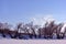 Field covered with snow, willow trees without leaves along, winter landscape, blue sky