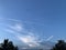 Field covered in trees under a blue sky with plane tracks on it during a sunny day