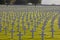 Field of Crosses Mark American Graves, WWII