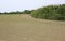 Field cultivated in the Padana plain in italy