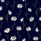 Field daisies seamless pattern on dark background. Vector