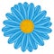 Field Daisy Blue