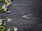 Field delicate flowers on a dark wooden background, copyspace