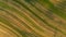 Field with diagonal stripes texture in Suloszowa village, Krakow County, Poland