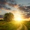 Field and dirt road to sunset