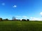 Field with distant farm at Crookham, North Northumberland, England