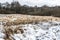 The Field with dry grass covered with first snow. Rural landscape. Early misty morning in the field