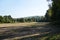 field at the edge of a forest with shadows of trees