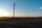 Field with electrical line at sunset light.