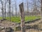 Field entrance is blocked with a wooden bark and spiky wire