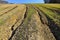 Field erosion landscape