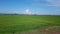 Field f peace green nature scenery breathe