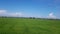 Field f peace green nature scenery breathe