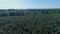Field of fir treesclose to Le Buisson-de-Cadouin in the Black Perigord France
