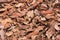 A field floor full of dry leaves in the Autumn season