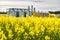 Field of flower of rapeseed, canola colza in Brassica napus on agro-processing plant for processing and silver silos for drying