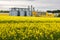 Field of flower of rapeseed, canola colza in Brassica napus on agro-processing plant for processing and silver silos for drying