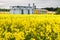 Field of flower of rapeseed, canola colza in Brassica napus on agro-processing plant for processing and silver silos for drying