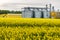 Field of flower of rapeseed, canola colza in Brassica napus on agro-processing plant for processing and silver silos for drying