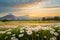 The field of flowers and mountains stand against the backdrop of a vibrant sunset.