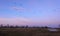 Field , flying goose birds and sunrise sky, Lithuania