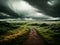 Field footpath realistic storm cinematic duotone colors.