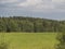 Field in front of forest in in Karelia, Russia. Summer rural locality landscape. Forest edge