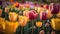 a field full of pink and yellow tulips in the sun with a green field in the back ground and trees in the background