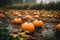 A field full of pumpkins in the rain. AI generative image.