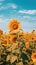 A Field Full of Smiling Sunflowers Under a Clear Sky AI Generated