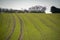 Field furrows make a curve up the hill in a field with young plants