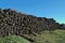 Field with giant pile of railway cross ties