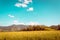 Field of golden grass and turquoise sky in Altai Mountains, retro toning