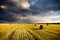 A field of golden haystacks on an autumn day, illuminated by sunlight with cloudy in the sky. Vintage film aesthetic.