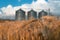 Field with grain silos for agriculture