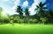 Field of grass and coconut palms on Praslin island