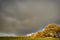 Field of grass with dramatic gray sky and clouds landscape