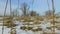 Field with grass frozen and snow away Russia dead trees winter landscape outdoors steadicam