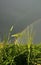 Field grass rainbow summer storm sky