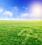 Field of green grass and blue cloudy sky